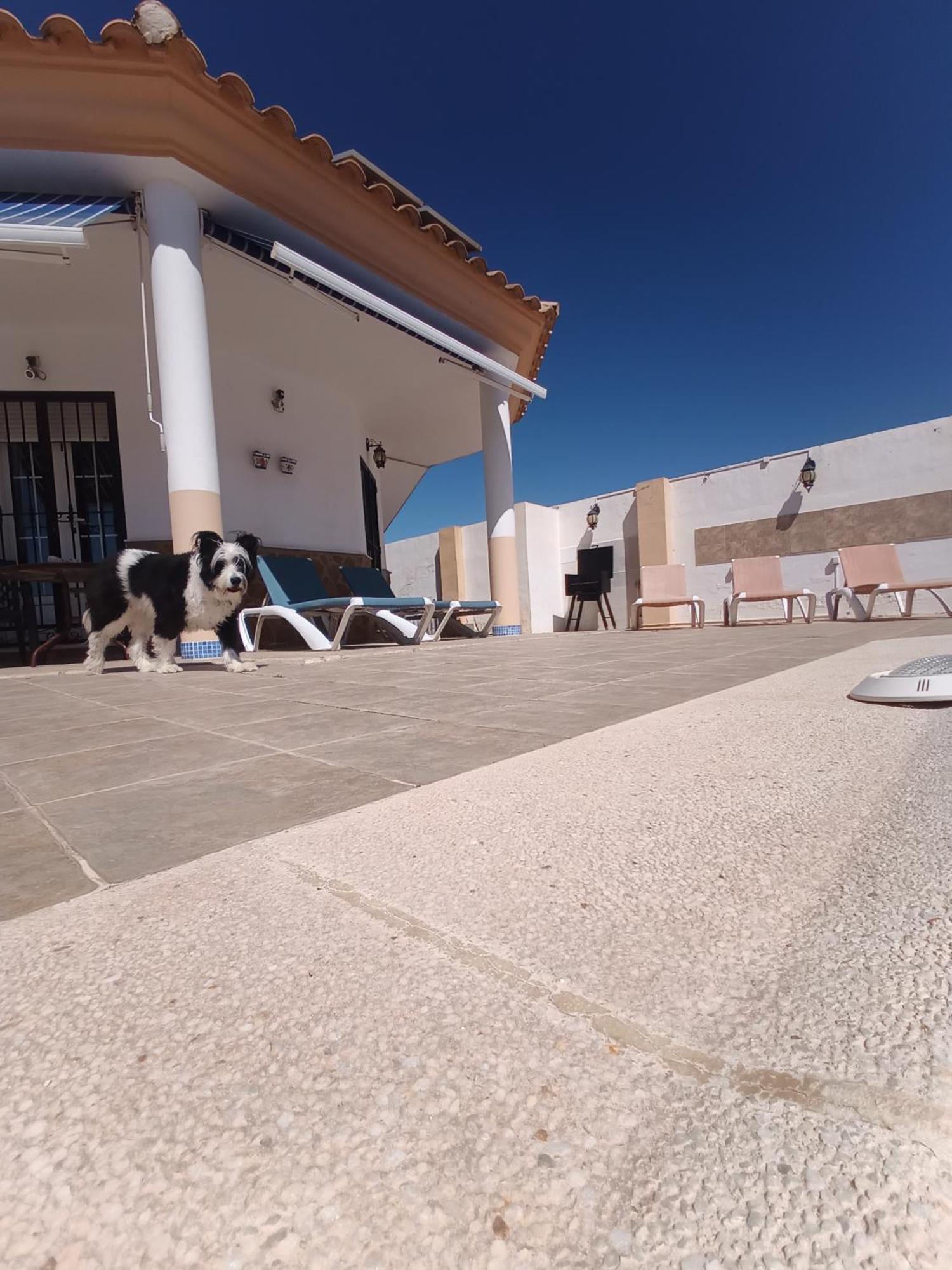 Villa Bonita Casita Luz Del Sol à Arboleas Extérieur photo
